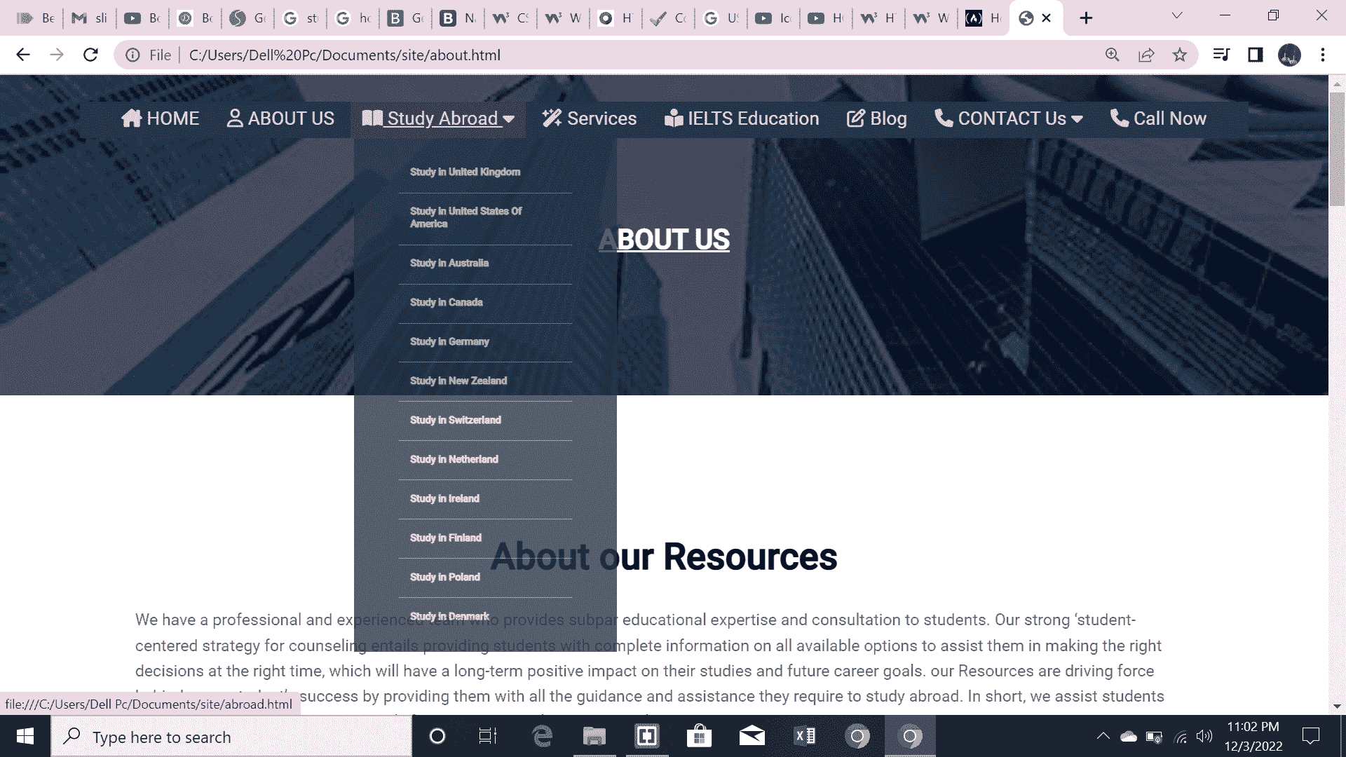STUDY GUIDE - Career Development Center, CUI Wah